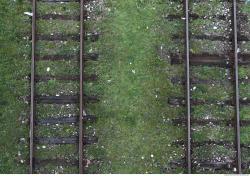 Photo Texture of Rails